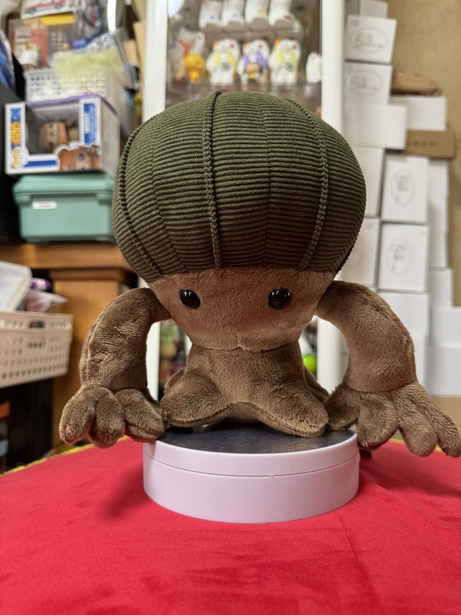 dourakupapa's tweet image. OBESAのぬいぐるみLUMOS
我が家のリアルなOBESAもこの夏で2年
 #obesa  #LUMOS