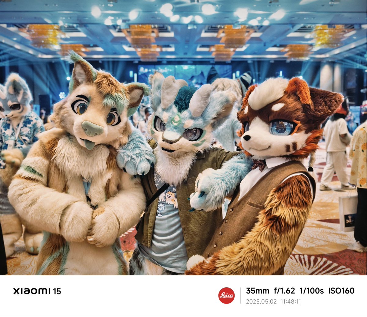 HiFurry Freeeeesh FursuitFriday!
📷：@飞影
🐱：<a href="/Furry_Lutz/">Lutz-Lutz</a>

#FursuitFriday