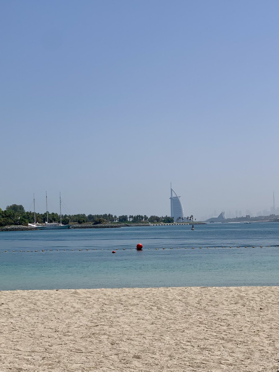 swim across token people

testing APIs are live for reputation onchain 

logo x logo meetings now open