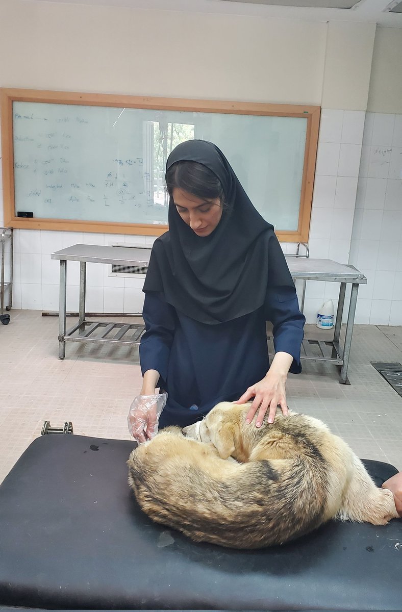 پز نیست،سبک زندگیمه...😂🐾