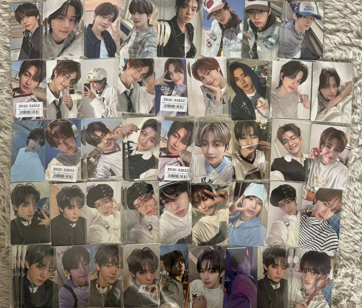 🐺🩵 tweet media