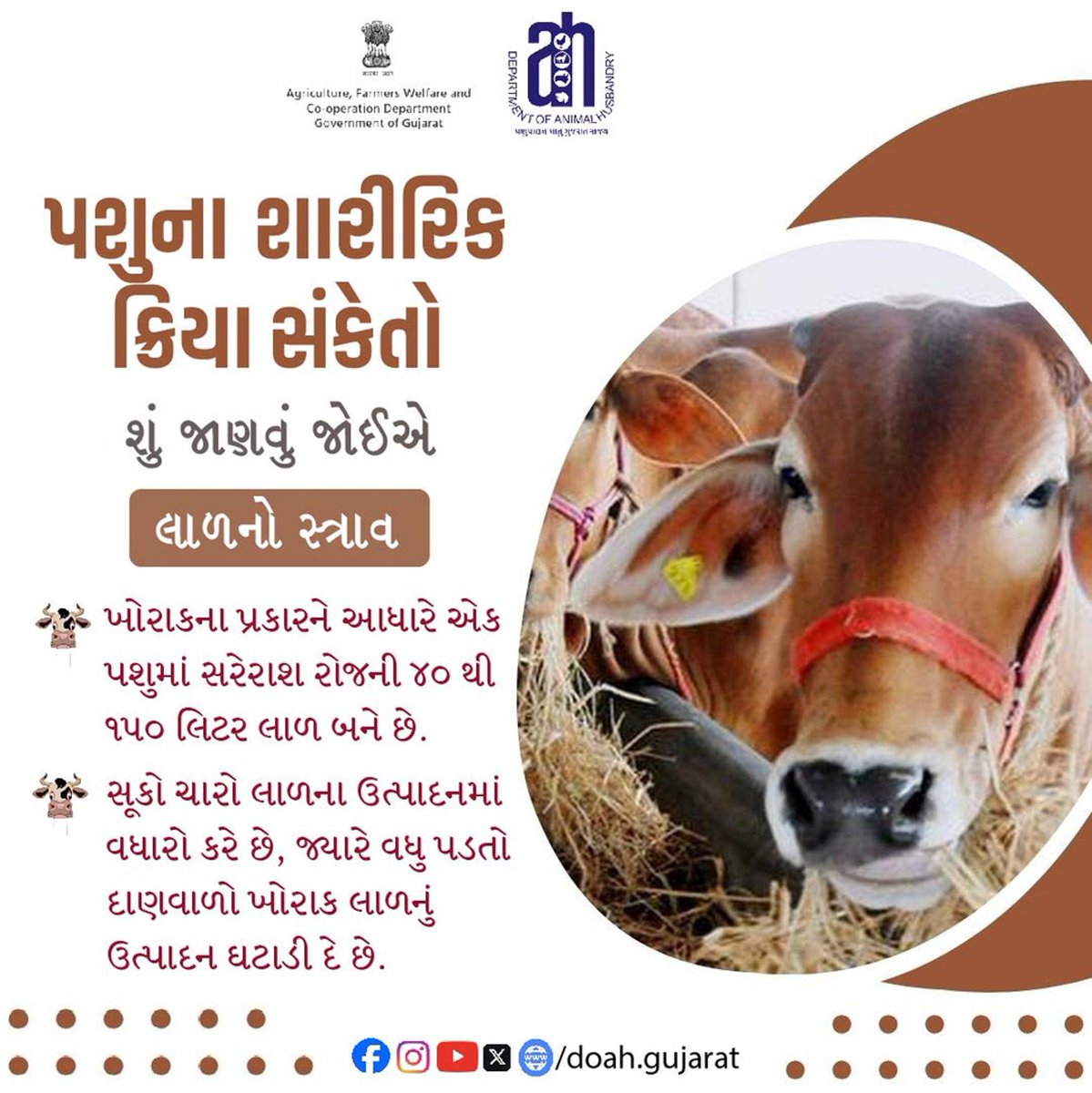 DoahGujarat's tweet photo. લાળનો સ્ત્રાવ- પશુના શારીરિક ક્રિયા સંકેતો
ખોરાકના પ્રકારને આધારે એક પશુમાં સરેરાશ રોજની ૪૦ થી ૧૫૦ લિટર લાળ બને છે.
સૂકો ચારો લાળના ઉત્પાદનમાં વધારો કરે છે, જ્યારે વધુ પડતો દાણવાળો ખોરાક લાળનું ઉત્પાદન ઘટાડી દે છે..
#saliva #Salivation #BodySignals #HealthAwareness
#animalhealth https://t.co/JU7cXmsEP7