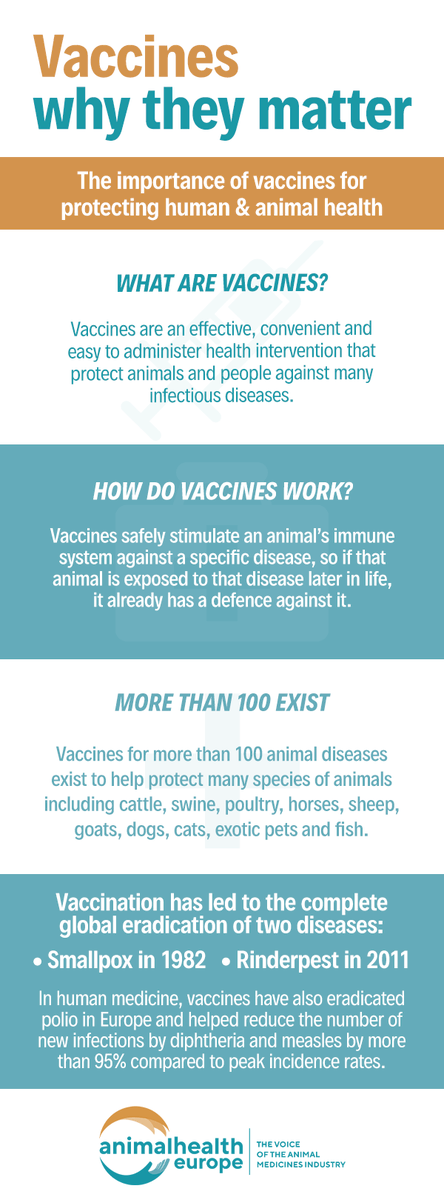 animalhealthEU's tweet photo. 💉 #Vaccination is a key tool in preventing disease.

✅Whether for pets or livestock, vaccines help reduce disease outbreaks, reduce the need for #antibiotics, and protect both animal and public health. https://t.co/rgZrpjZ8f5