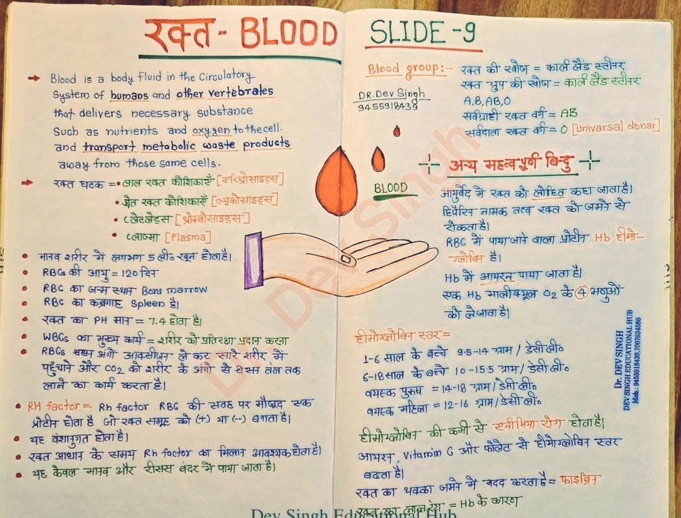 ParthIASJHD's tweet photo. एग्जाम में पूछे जाते हैं। #BPSC #upscprelims2025 #UPSC #UPPCS #RPSC #railway_exams.. #ssc #BPSCTRE4 #parthIAS #BPSC_TRE4 https://t.co/yg4niWYcgX
