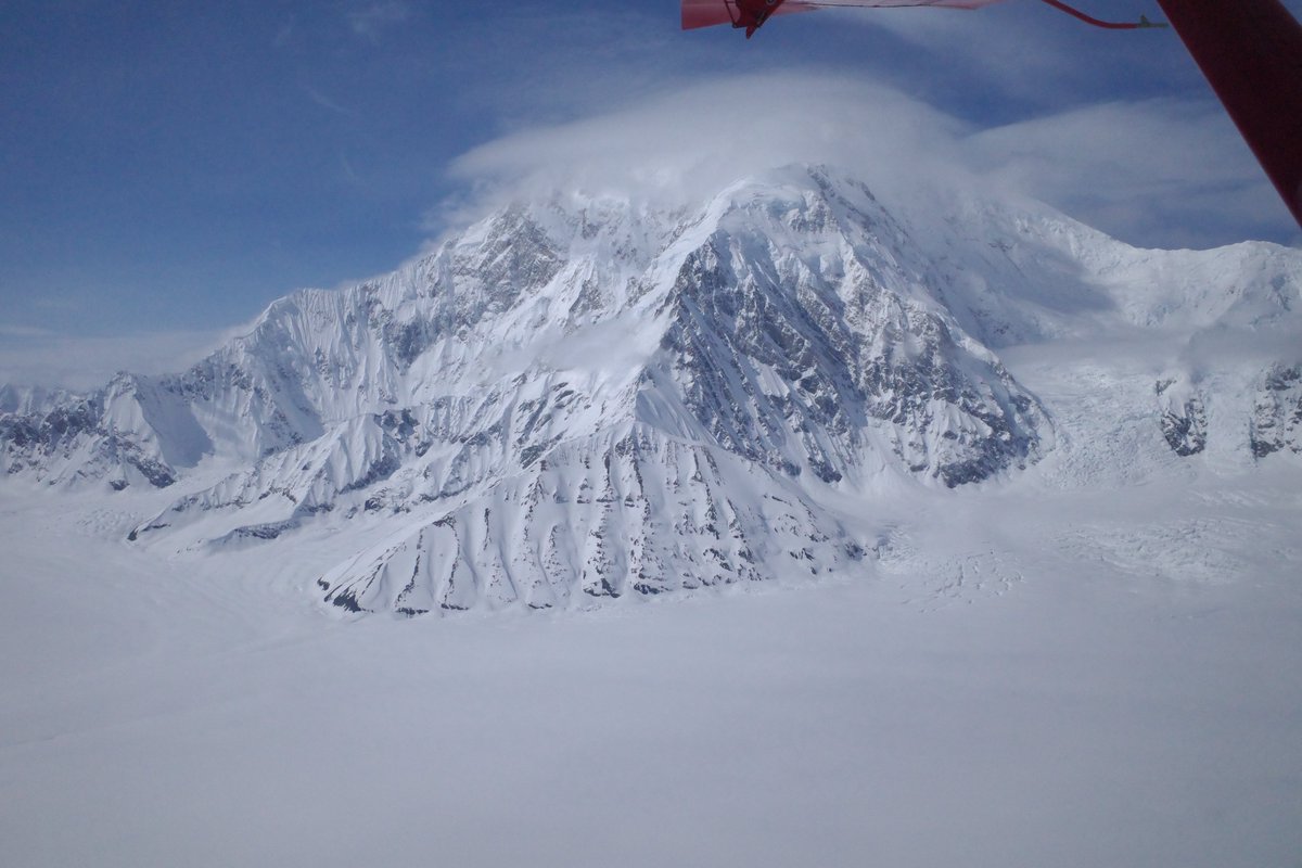 ティル🇺🇸お狐ダンス (@tillares) on Twitter photo  ティル🇺🇸お狐ダンス (@tillares) on Twitter photo