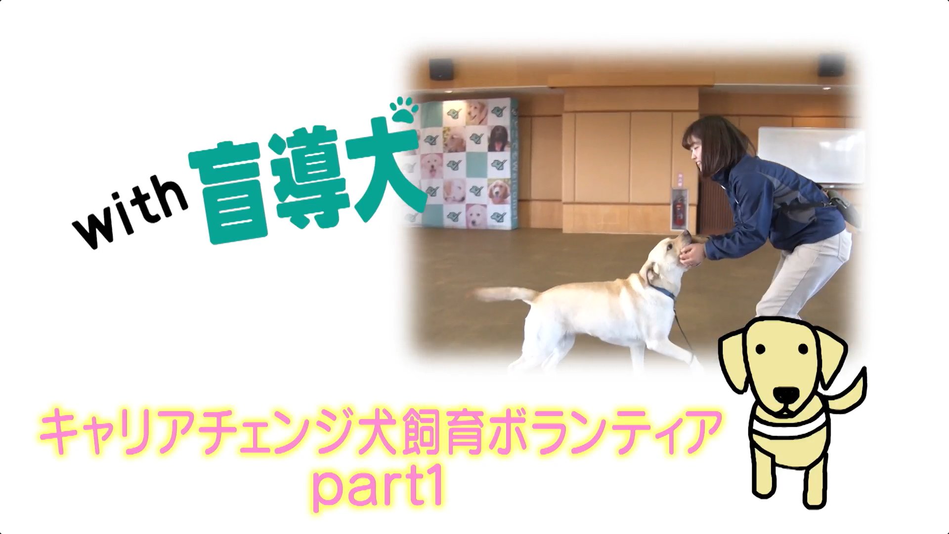 Amazon.com: ナオゴーストレート-盲導犬歩行指導員 1