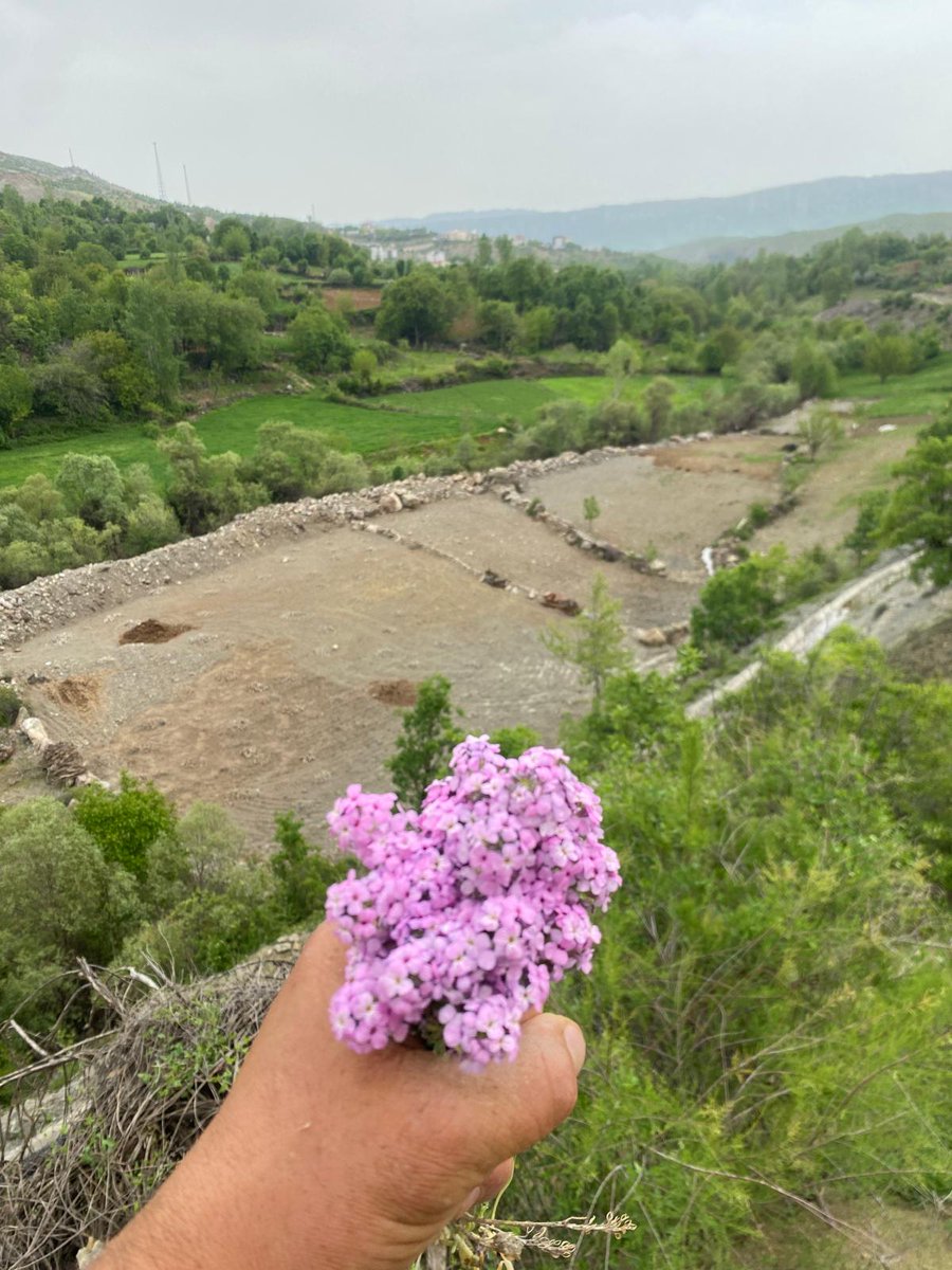 Bahar gelmiş haberim yok 
Kapımdan eksik olmamış kara kış 
Buz tuttu eşiğim içim yalvar yakarış
🍂