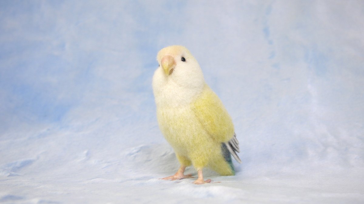장어징조(니들펠트하는 생물) tweet media