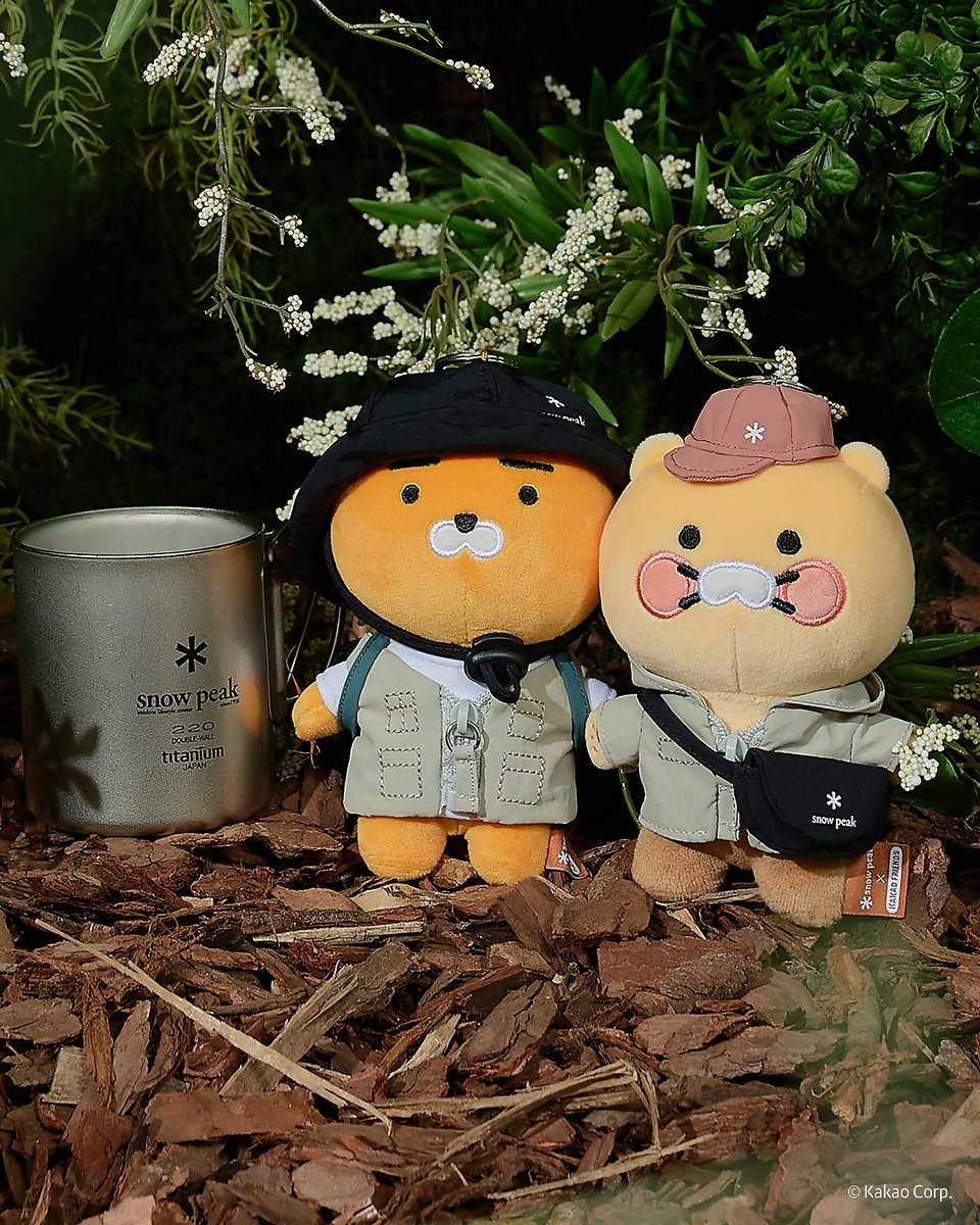 カカオフレンズとSnow Peakが 夢のコラボグッズを発売したよ☀ 日常