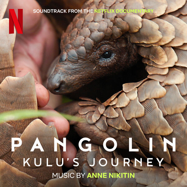 Film Music Reporter (@filmmusicrep) on Twitter photo Soundtrack album released for <a href="/PippaEhrlich/">Pippa Ehrlich</a>'s Netflix documentary 'Pangolin: Kulu's Journey' feat. music by 'The Dropout' & 'American Animals' composer <a href="/annenikitin/">Anne Nikitin</a>. tinyurl.com/yne8aw27 Soundtrack album released for <a href="/PippaEhrlich/">Pippa Ehrlich</a>'s Netflix documentary 'Pangolin: Kulu's Journey' feat. music by 'The Dropout' & 'American Animals' composer <a href="/annenikitin/">Anne Nikitin</a>. tinyurl.com/yne8aw27