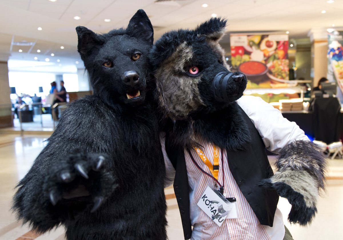 Happy #FursuitFriday

✂️ <a href="/CopperSprite/">The Razzle to his Dazzle</a>
🐺✂️ <a href="/wolfroof/">うぇあ/ware</a>
📸 <a href="/eps_ham/">ハム Ham</a>
🗓 25.05.2015
🏨 #Hilton
🏙 #Birmingham 🏴󠁧󠁢󠁥󠁮󠁧󠁿 🇬🇧
🦊 <a href="/cfconvention/">ConFuzzled</a>

#CFz #CFz2015 #ConFuzzled #Fursuit #Furcon #Furry #Wolf #England #Furs #Berk #BerkWolf #Kohaku #Ware

Follow my Berk-News (TG)
t.me/Berk_News