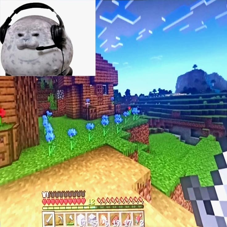 SealDev (@sealdev2) on Twitter photo 