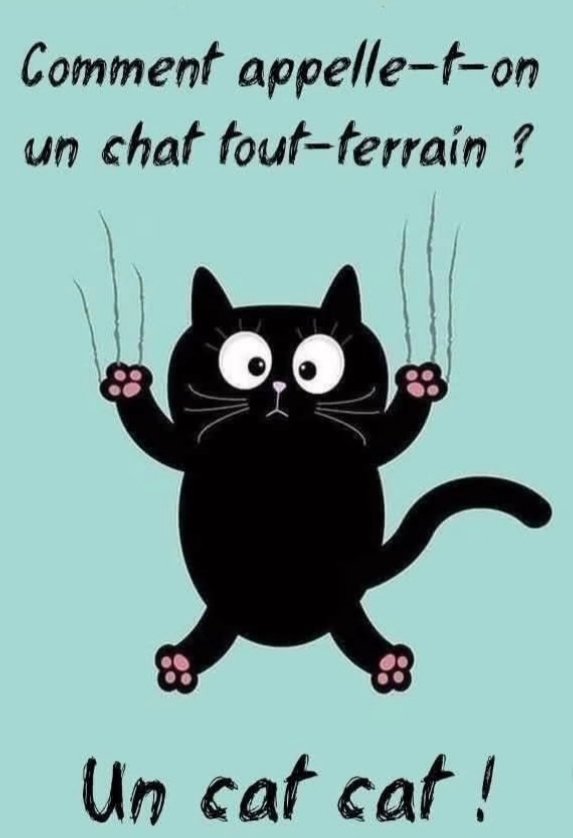 Bon anniversaire (en retard) ma Cat Cat ! <a href="/CatMo0105/">𝐶a𝑡ℎe𝑟𝑖𝑛e 𝑀o𝑖𝑠a𝑛𝑑 (A𝑙𝑙ai𝑛é)</a>