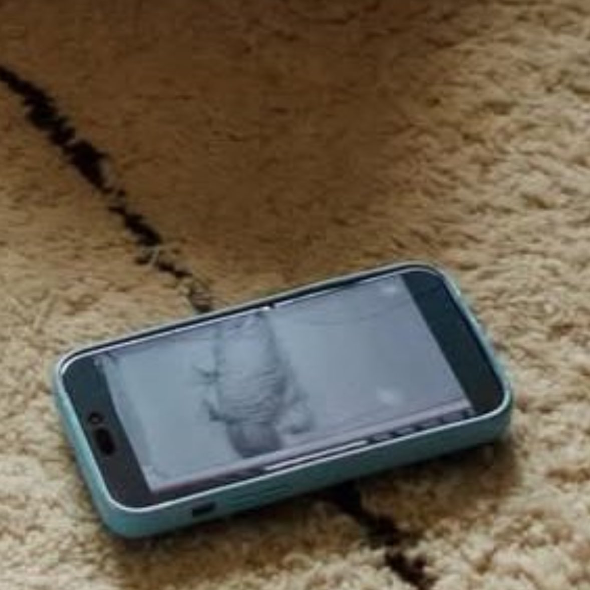 — Hailey dijo en IG que Justin Bieber es el gemelo de Jack, y Jack Blues duerme de la misma forma que su papá, que ternura 🥹🤍