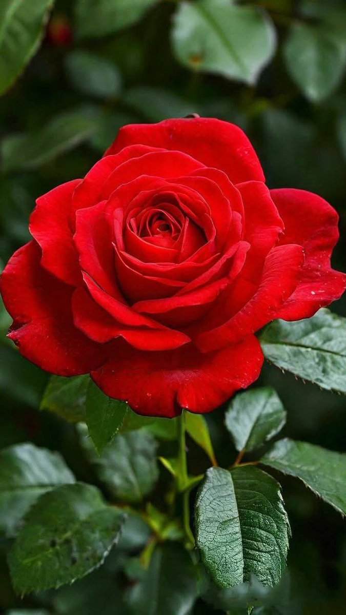 Cleopatra (@ginajardines) on Twitter photo <a href="/louca_chri33156/">Christos Louca</a> <a href="/TaposKumarBasu/">⭐✳️🇮🇳तापोस🇮🇳✳️⭐</a> <a href="/iVelkhana93/">Telegram🙋♀ Иверкана Iverkana🇰🇿</a> <a href="/7Keendo/">🦅ӄɛɛռɖօ</a> <a href="/fryld/">Fryl dnc</a> <a href="/zahrat_lotas/">❤️S.zahra❤️</a> <a href="/1redroc/">𝕽𝖊𝖉𝖗𝖔𝖈𝖐</a> <a href="/Eileen77777/">Eileen🤍🕊️</a> <a href="/PosiePosie1212/">Posie</a> <a href="/Leah2477/">Leah</a> <a href="/Biryaa98/">sabi</a> <a href="/E93Khana/">Иверкана Iverkhana</a> <a href="/V13lula/">Karen Lúcia♀️🚩🌵</a> <a href="/2015Suheyla/">Süheyla</a> <a href="/virgyane/">Luz Mary.</a> <a href="/Aina_A_to_Z/">Aina ☆アイナ🐈☆*.。.🌟カわュƖ ı絵ヲ描ㄑねコ🐱ƒ ̵̲˝꒭❤ ✨🐰🦄🏹</a> <a href="/3_toshiyuki/">toshiyuki (I like new things.)</a> <a href="/tyten67237068/">Ten Reice Dizon</a> <a href="/ZyasRicky/">Ricky Zayas C</a> <a href="/OcakAyhan/">🇹🇷🇵🇸Ocak Ayhan 💙🌷</a> <a href="/karla_newbi/">Karla golbahar newbi</a> <a href="/scouse_kim/">scouse kim</a> Good morning friend 🌹🦋 <a href="/louca_chri33156/">Christos Louca</a> <a href="/TaposKumarBasu/">⭐✳️🇮🇳तापोस🇮🇳✳️⭐</a> <a href="/iVelkhana93/">Telegram🙋♀ Иверкана Iverkana🇰🇿</a> <a href="/7Keendo/">🦅ӄɛɛռɖօ</a> <a href="/fryld/">Fryl dnc</a> <a href="/zahrat_lotas/">❤️S.zahra❤️</a> <a href="/1redroc/">𝕽𝖊𝖉𝖗𝖔𝖈𝖐</a> <a href="/Eileen77777/">Eileen🤍🕊️</a> <a href="/PosiePosie1212/">Posie</a> <a href="/Leah2477/">Leah</a> <a href="/Biryaa98/">sabi</a> <a href="/E93Khana/">Иверкана Iverkhana</a> <a href="/V13lula/">Karen Lúcia♀️🚩🌵</a> <a href="/2015Suheyla/">Süheyla</a> <a href="/virgyane/">Luz Mary.</a> <a href="/Aina_A_to_Z/">Aina ☆アイナ🐈☆*.。.🌟カわュƖ ı絵ヲ描ㄑねコ🐱ƒ ̵̲˝꒭❤ ✨🐰🦄🏹</a> <a href="/3_toshiyuki/">toshiyuki (I like new things.)</a> <a href="/tyten67237068/">Ten Reice Dizon</a> <a href="/ZyasRicky/">Ricky Zayas C</a> <a href="/OcakAyhan/">🇹🇷🇵🇸Ocak Ayhan 💙🌷</a> <a href="/karla_newbi/">Karla golbahar newbi</a> <a href="/scouse_kim/">scouse kim</a> Good morning friend 🌹🦋
