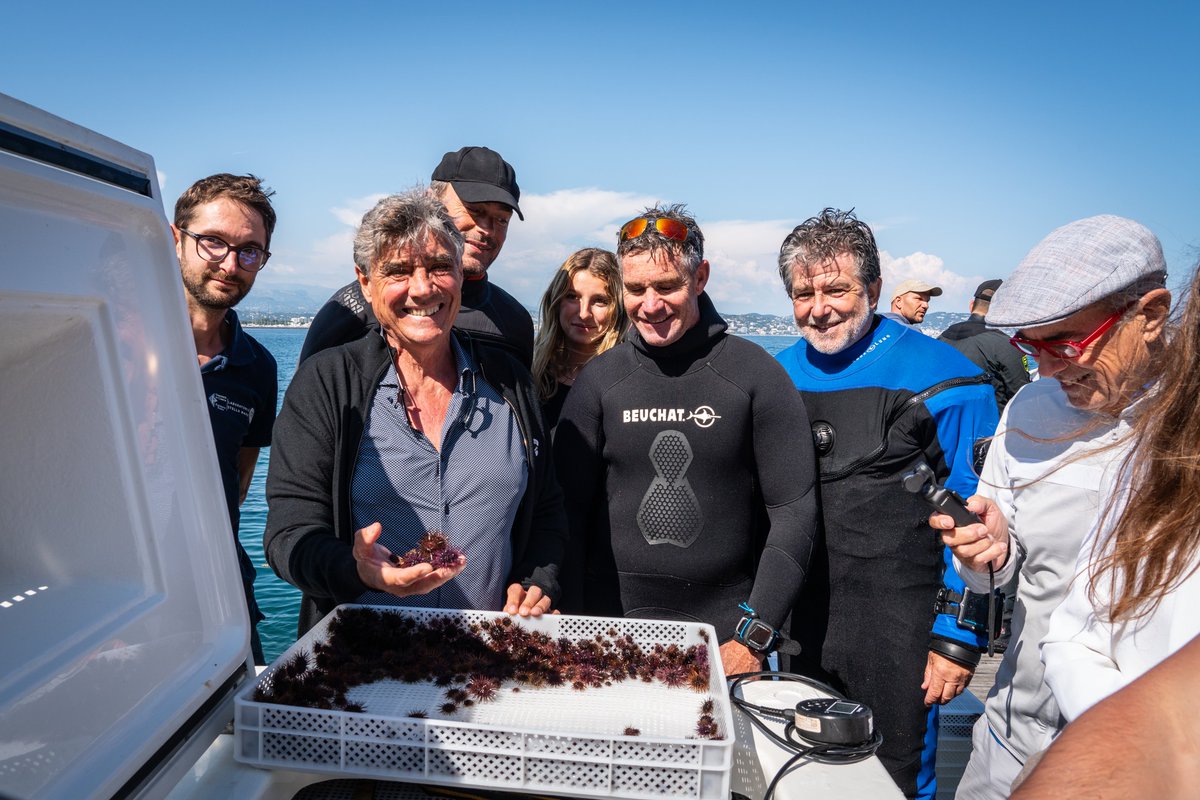 Università di Corsica tweet media