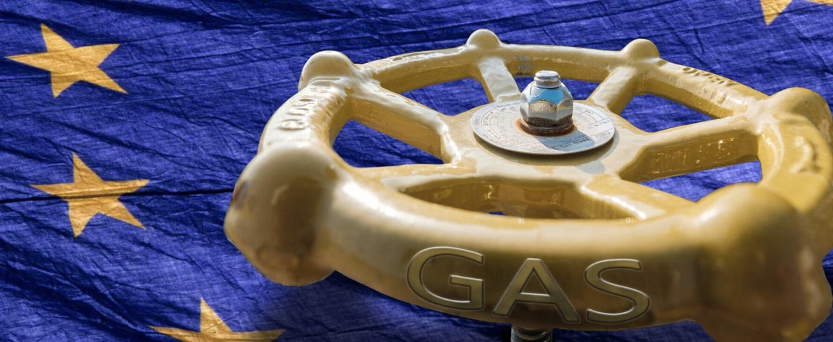 ‼️  Gas, riserve Ue sotto il 37%, è la prima volta da tre anni. L'Italia mantiene il 10% in più della media europea.