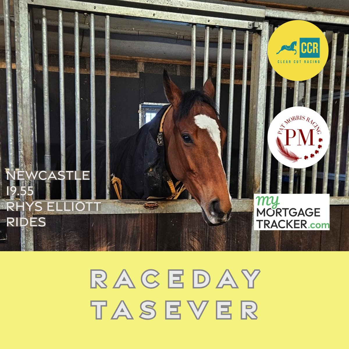 Clear Cut Racing (@clearcut_racing) on Twitter photo Race day for Tasever!
19.55 <a href="/NewcastleRaces/">Newcastle Racecourse</a>
Ridden by Rhys Elliott
Trained by Pat Morris
Sponsored by Mymortgagetracker.com
Good luck champ! Race day for Tasever!
19.55 <a href="/NewcastleRaces/">Newcastle Racecourse</a>
Ridden by Rhys Elliott
Trained by Pat Morris
Sponsored by Mymortgagetracker.com
Good luck champ!