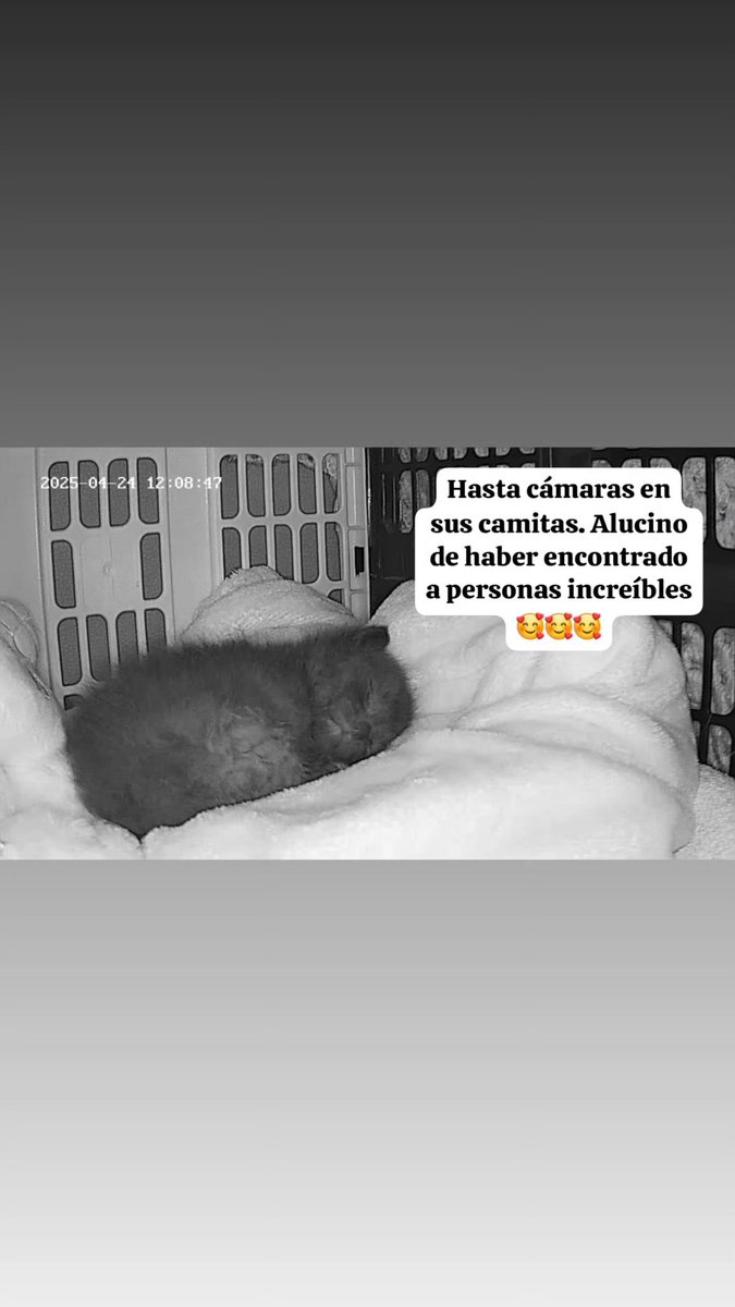 May 🌼🌹 tweet media