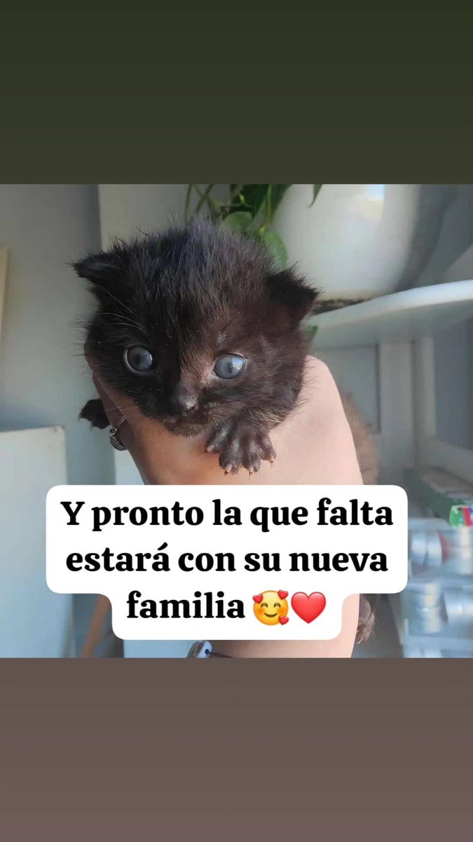 May 🌼🌹 tweet media