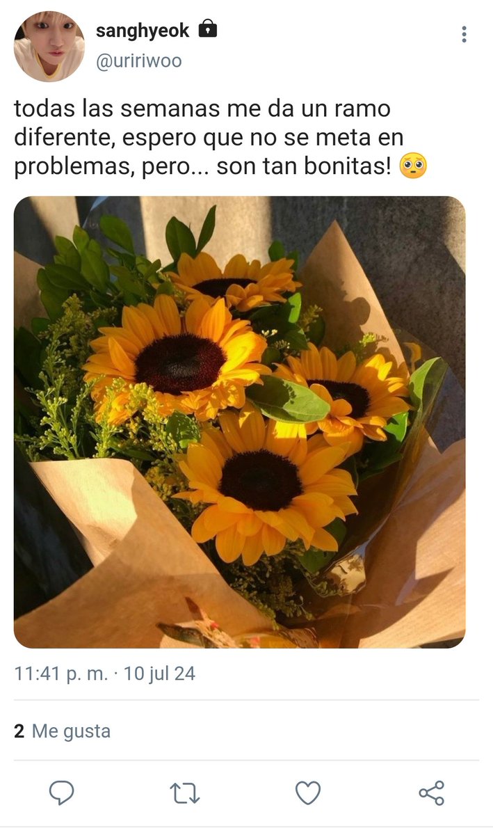 myungstar_'s tweet photo. ── au #hyeokmyungz ; sunflower ¡!

❝  rw quizá, solo quizá visita regularmente la floristería para ver al chico lindo que habla sobre flores y mjh quizá, solo quizá siempre espera al chico girasol que alegra sus días. ❞ https://t.co/akjXDdKfCD