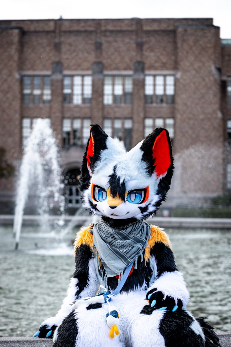 #FursuitFriday 
全世界就我没去hf了
📷：<a href="/Jasonhisto54563/">Jasonhistoria</a>