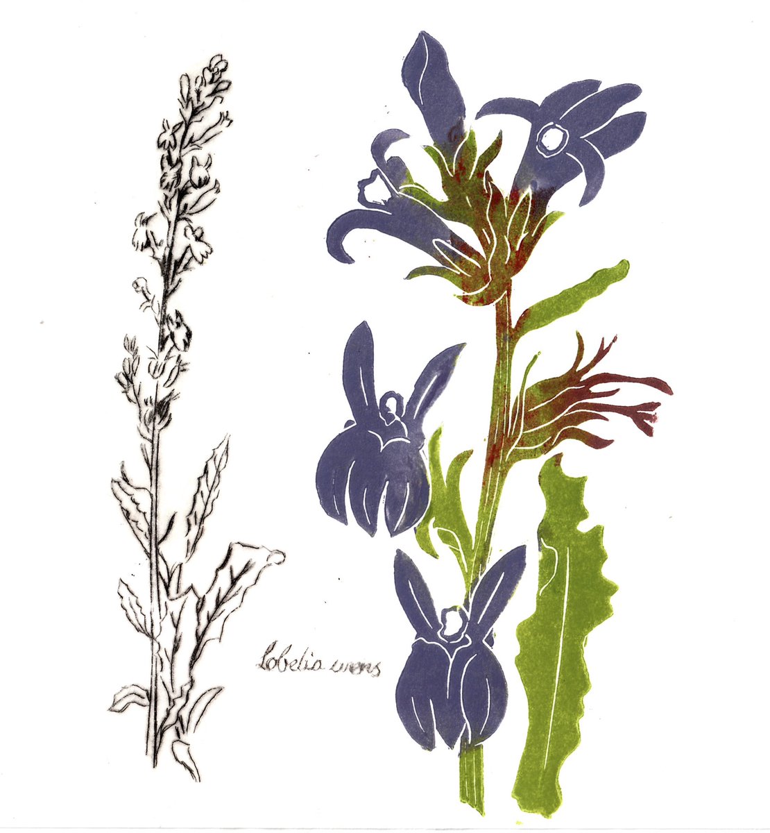 Viv Styles (@vivstylz) on Twitter photo Looking forward to our Flora exhibition <a href="/BoveyParadiso/">Bovey Paradiso Arts</a> next week. 😀 17 artists celebrating the life and work of W.Keble Martin, who published his Concise British Flora this week in 1965. <a href="/GraniteElements/">GraniteElements</a> #Flora #printmaking #Dartmoor Looking forward to our Flora exhibition <a href="/BoveyParadiso/">Bovey Paradiso Arts</a> next week. 😀 17 artists celebrating the life and work of W.Keble Martin, who published his Concise British Flora this week in 1965. <a href="/GraniteElements/">GraniteElements</a> #Flora #printmaking #Dartmoor