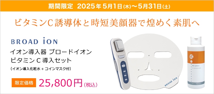 スキンロジカル イオン導入器 ブロードイオン 家庭用美顔器 M109872678