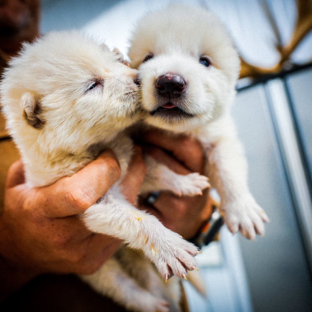 KrakenCove tweet media