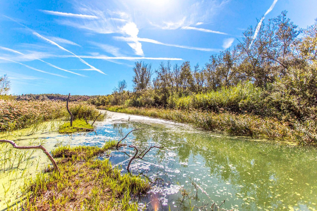 Terres de l'Ebre (@terresebretur) on Twitter photo 🚶♀️ Veniu a fer un tomb per la vora del Meandre de #Flix tot seguint la Ruta de la Pau de l'Ebre? Es tracta d'un agradable camí, ideal per recórrer en família, on admirar un tresor sensacional.
👉 tuit.cat/a13r5
📸 <a href="/RiberadEbreTur/">Turisme de la Ribera d’Ebre</a>
<a href="/FlixTurisme/">Flix Turisme</a> #TerresDelEbre 🚶♀️ Veniu a fer un tomb per la vora del Meandre de #Flix tot seguint la Ruta de la Pau de l'Ebre? Es tracta d'un agradable camí, ideal per recórrer en família, on admirar un tresor sensacional.
👉 tuit.cat/a13r5
📸 <a href="/RiberadEbreTur/">Turisme de la Ribera d’Ebre</a>
<a href="/FlixTurisme/">Flix Turisme</a> #TerresDelEbre