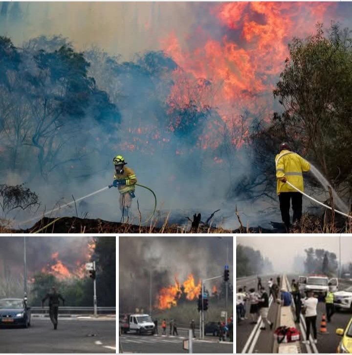 The Israeli government seeks international support after a forest fire.  However, it must be remembered that it was violating international law when it burned the Palestinian people. 
 This is documented in the hearts of the people of the world.