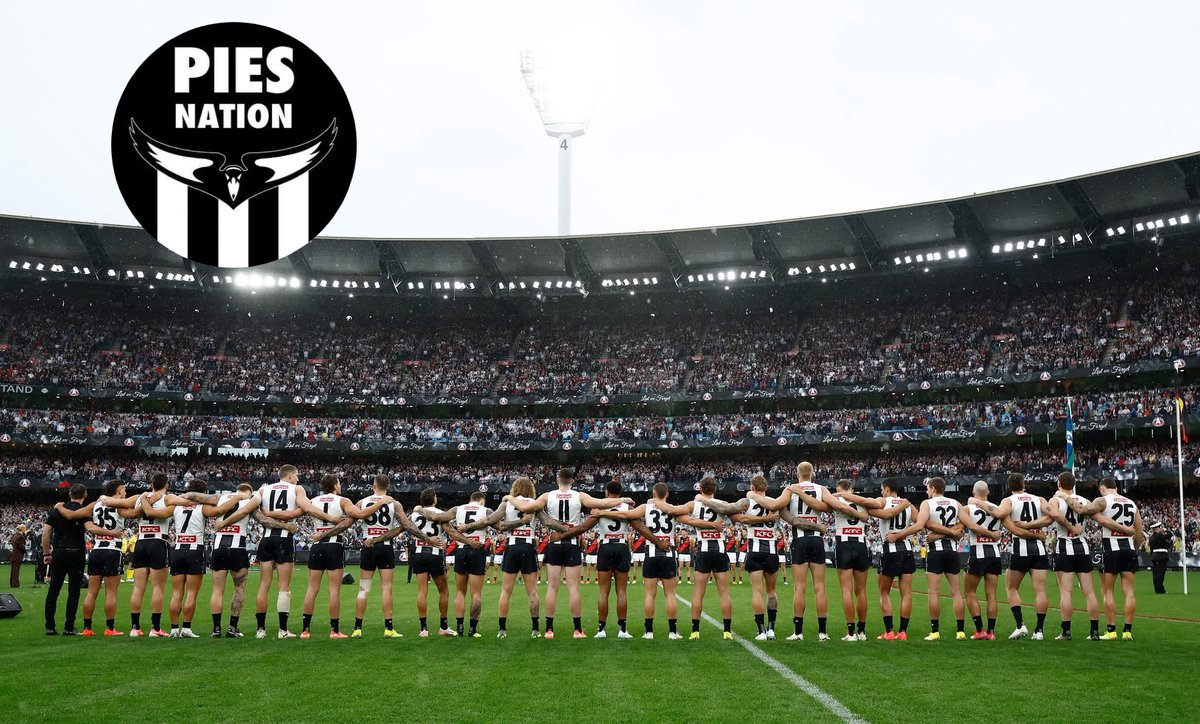 PiesNation tweet media