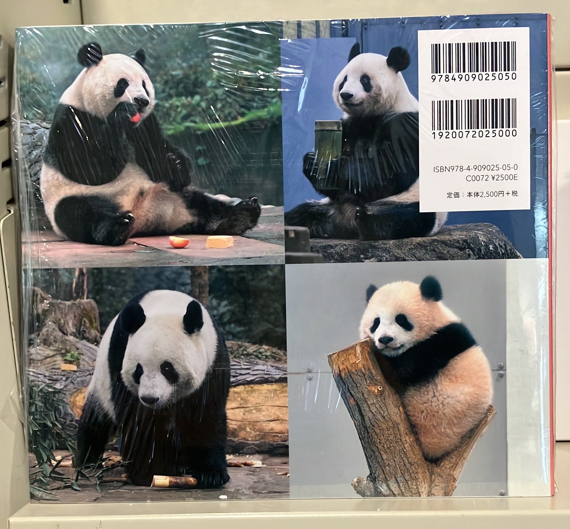 パンダ♪ プロフ読んでね♡出品 🐼 #ハンドメイド #ぬいぐるみ #パンダ