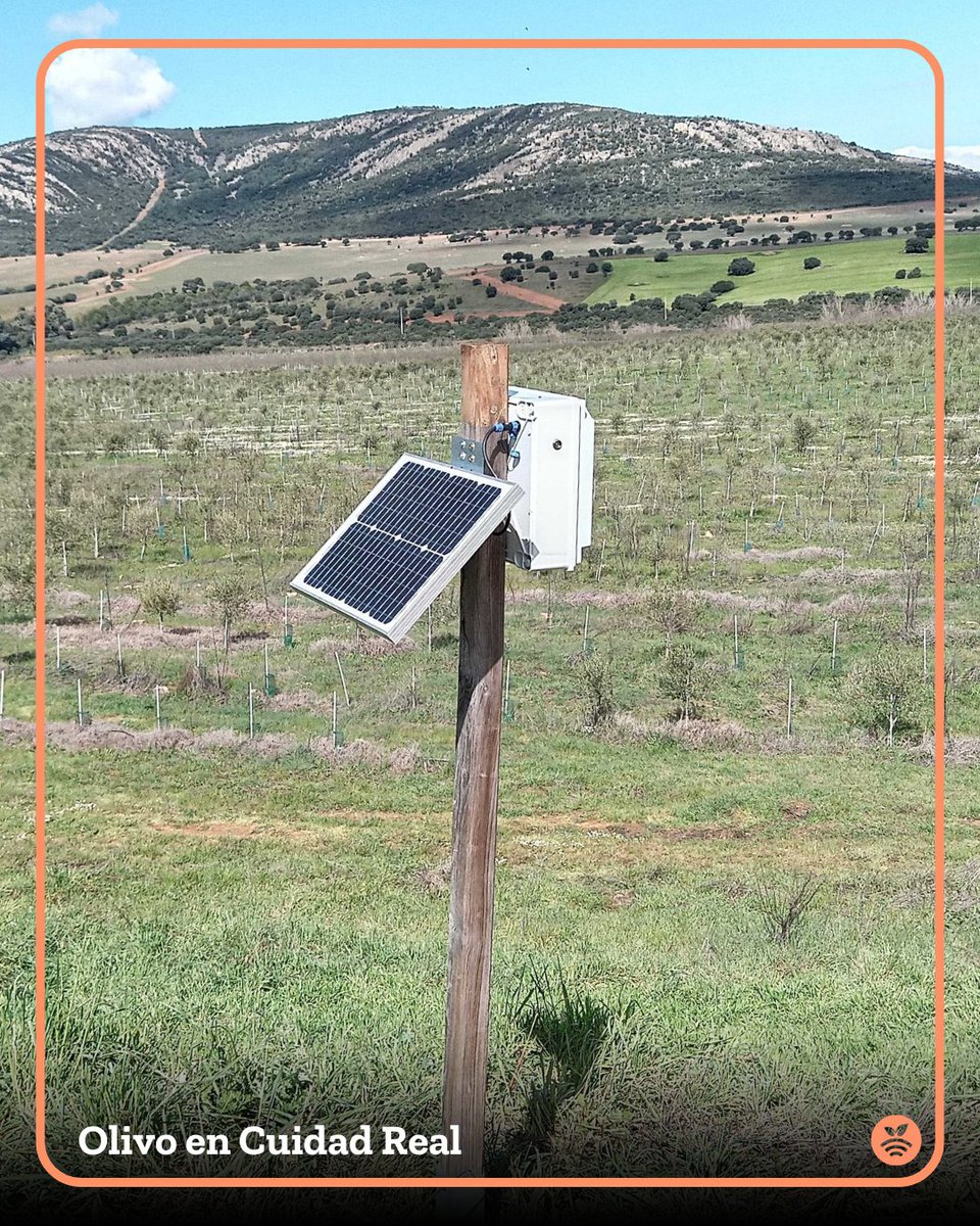 Tras el apagón, hemos podidos recuperar +60k lecturas de sensores 🤯

Aquí algunas imágenes de un Hub Plantae que hemos visitado recientemente en Ciudad Real.

Ayudando al cuidado de esos olivos