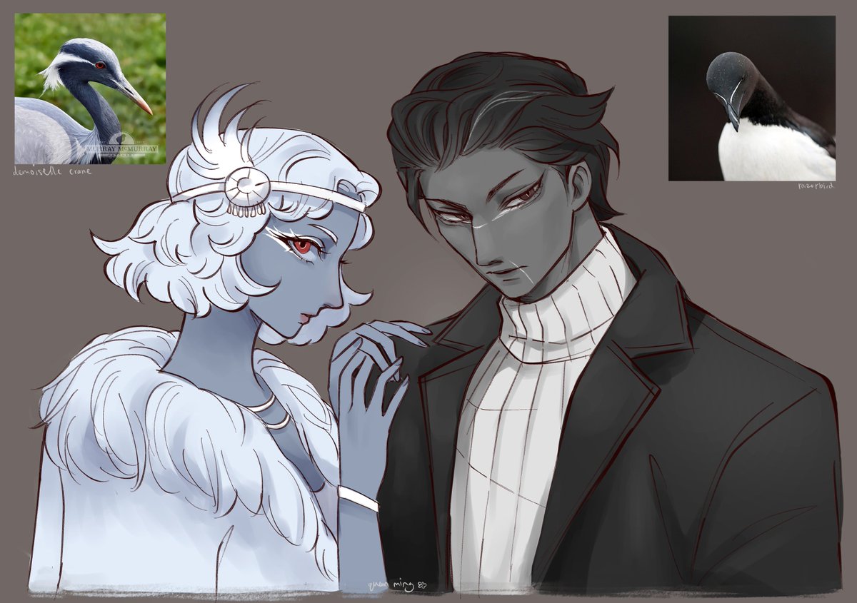 diva birds
#art #illustration #oc