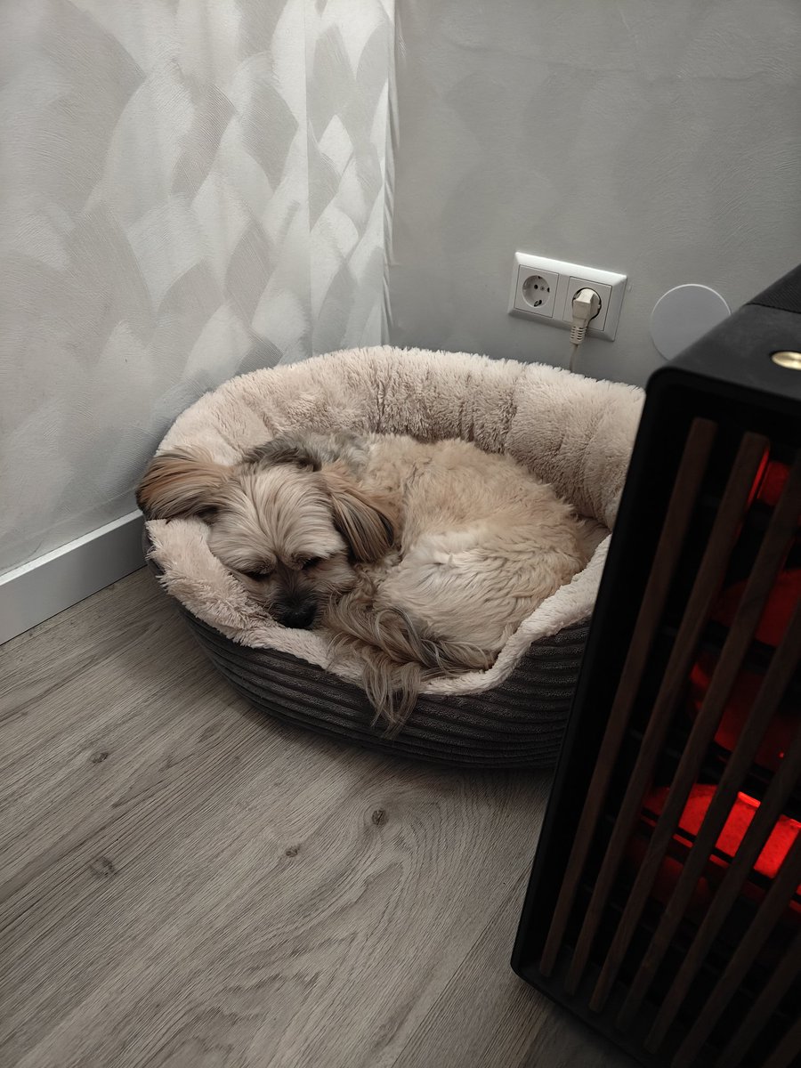 Labyrinth tweet media