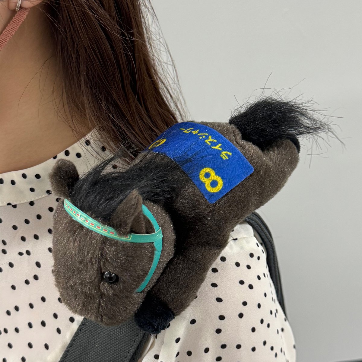 ライスシャワー　ぬいぐるみ　AVANTI 美品⭐️AVANTI⭐️天皇賞⭐️ライスシャワー⭐️ぬいぐるみSサイズ 競馬 ぬいぐるみ