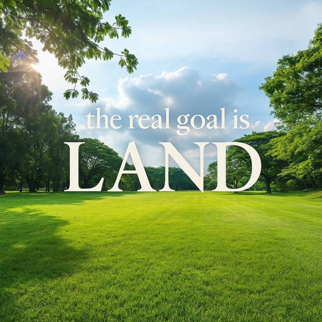 mrgriffonn's tweet image. Woke up and purchased this