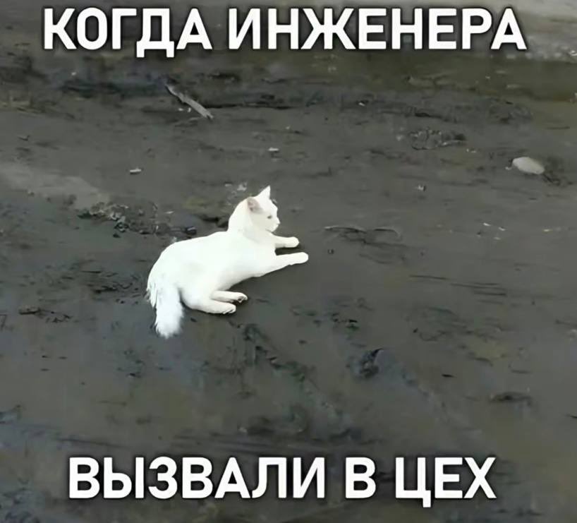 polovinapolovin's tweet photo. Это я  приехала наютуженная напомаженная на объект https://t.co/HIC6aAURZM