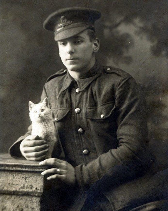 HURRY UP & WAiT tweet media