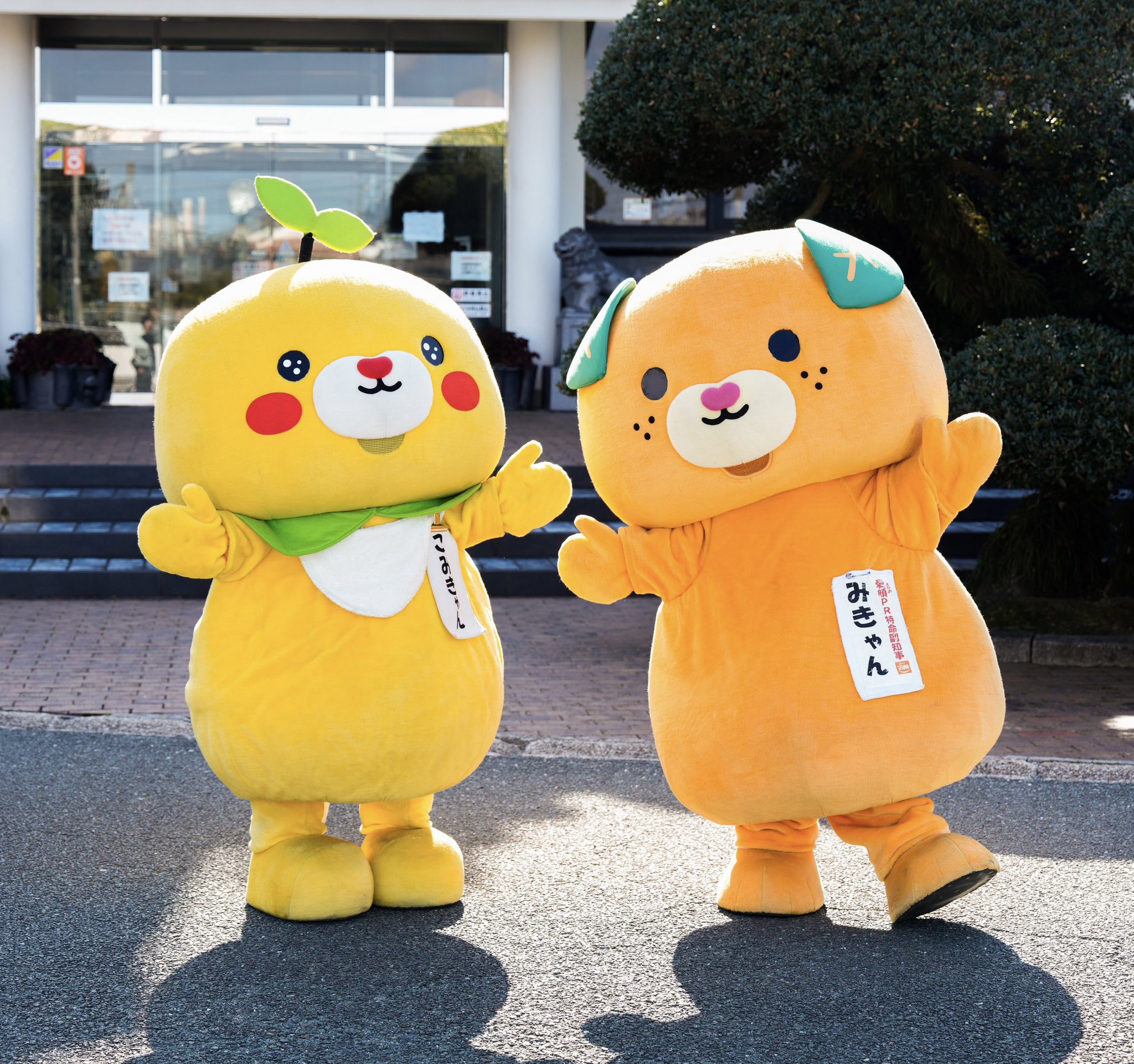 限定！愛媛のゆるキャラ「みきゃん」のご当地ピンズがお土産に最適♪