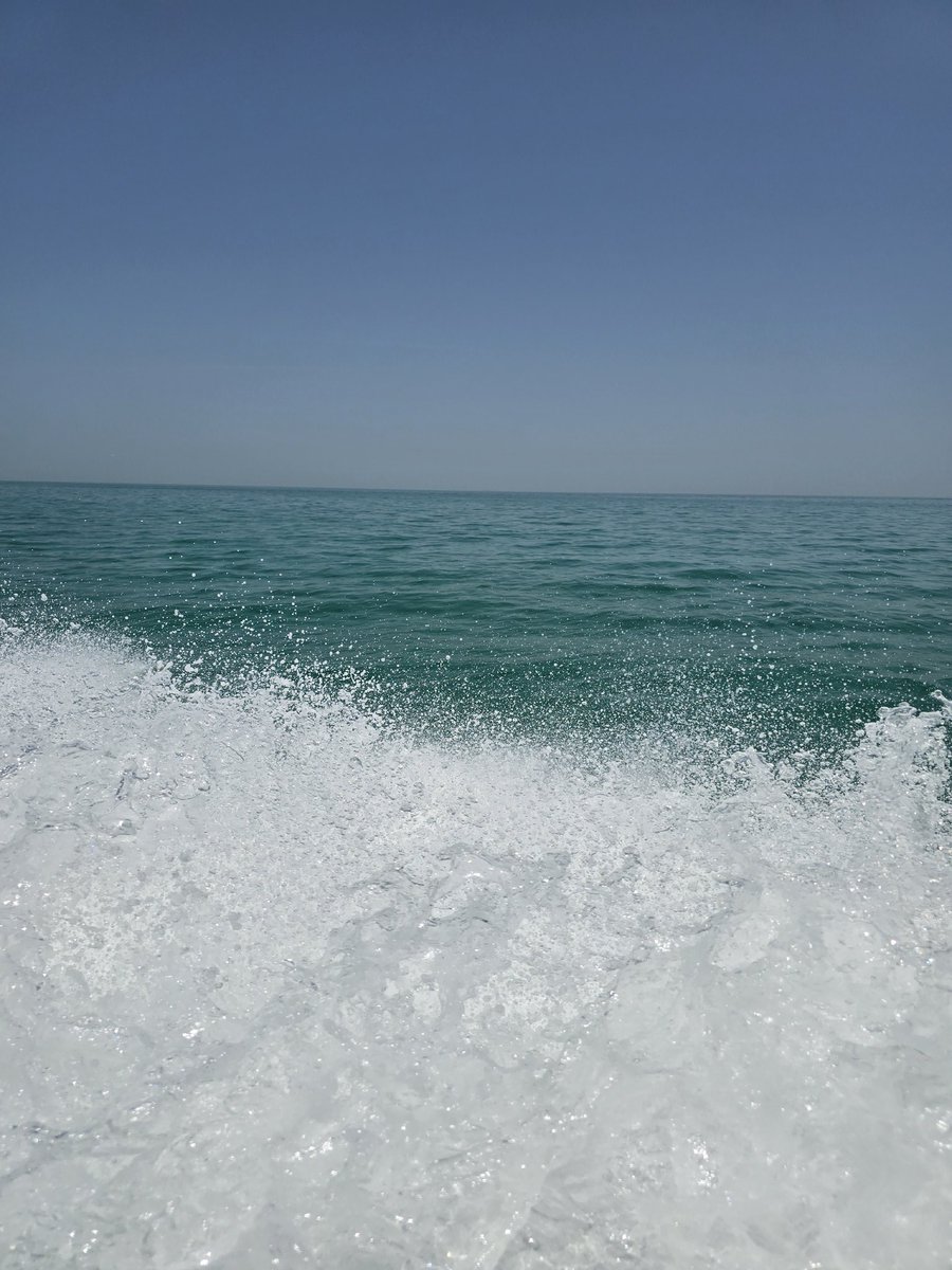 بين الهدوء والهيجان.. 

قرار.

#صباح_الخير 
#جمعةمباركة