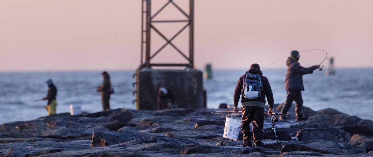 Peter Ackerman tweet media