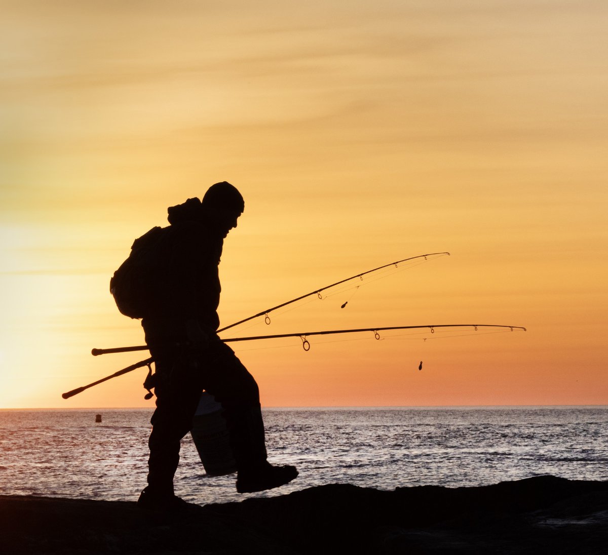 Peter Ackerman tweet media