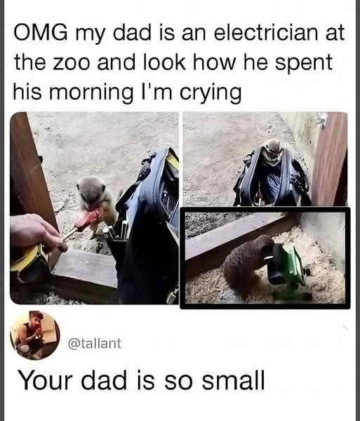 In Otter News.... (@in_otter_news2) on Twitter photo 