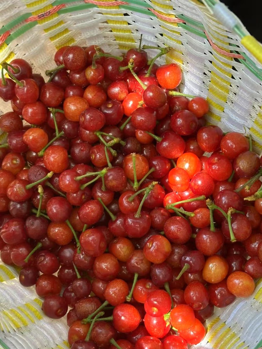 SecretbaseB's tweet photo. 🍒 https://t.co/U3gSjS0Ume