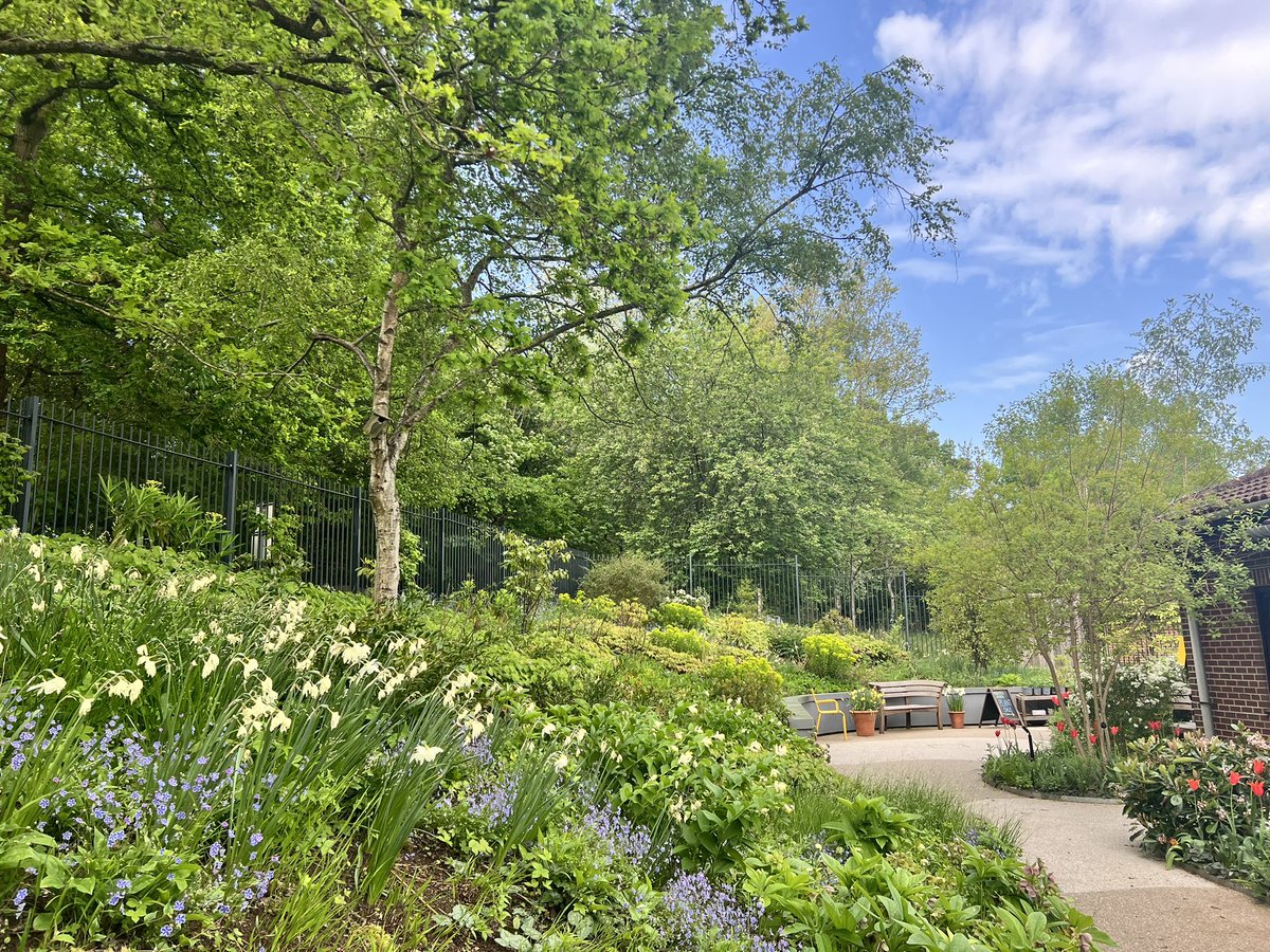Grace McCormack (@grace_mc_slt) on Twitter photo 🪴 Spring has sprung at <a href="/HoratiosGarden/">Horatio's Garden Charity</a> - we do our inpatient voice therapy and mindfulness sessions outside in the garden when it’s sunny enough and enjoy the warmth of the garden pods in the winter. I’m pretty convinced the relaxing setting improves the voice #voicetherapy 🪴 Spring has sprung at <a href="/HoratiosGarden/">Horatio's Garden Charity</a> - we do our inpatient voice therapy and mindfulness sessions outside in the garden when it’s sunny enough and enjoy the warmth of the garden pods in the winter. I’m pretty convinced the relaxing setting improves the voice #voicetherapy