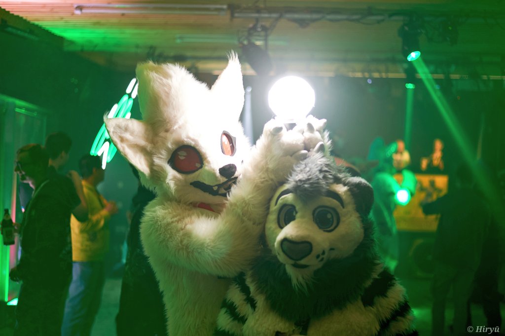 I got a Idea. 😂 💡 Cuddle all nine tail by <a href="/YunaNinetails/">Yuna</a>  xD

🦊<a href="/YunaNinetails/">Yuna</a>
🦁<a href="/WhhiteLionn/">WhiteLion.</a>

📷<a href="/HiryuTheDragon/">Hiryū</a>
🪡<a href="/CeeGeeFursuit/">Stracia 🐾</a>: WhiteLion 

Happy #FursuitFriday 😄 for everyone. 🥰