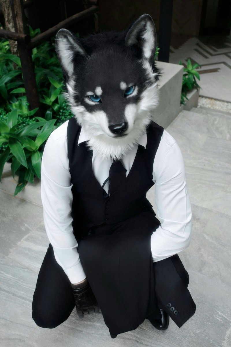 「ごきげんよう、王女さま」😊
#これを見たやつは座ってる画像をあげろ
#FursuitFriday #創造トリアノン