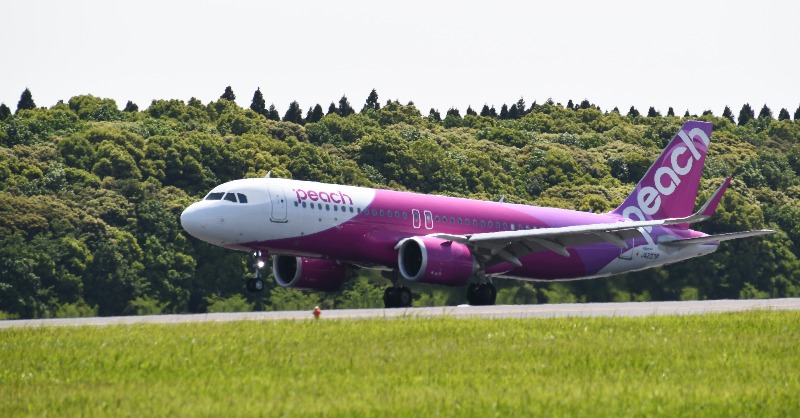 今日は「#みどりの日」 🌳☘️ 早くも5月！新緑が綺麗な季節ですね